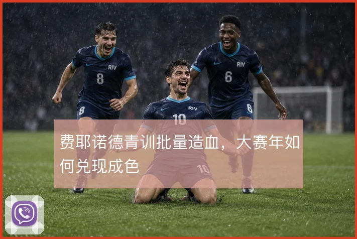 费耶诺德青训批量造血，大赛年如何兑现成色