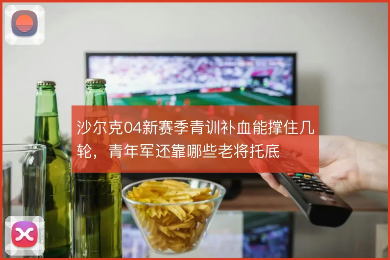 沙尔克04新赛季青训补血能撑住几轮，青年军还靠哪些老将托底